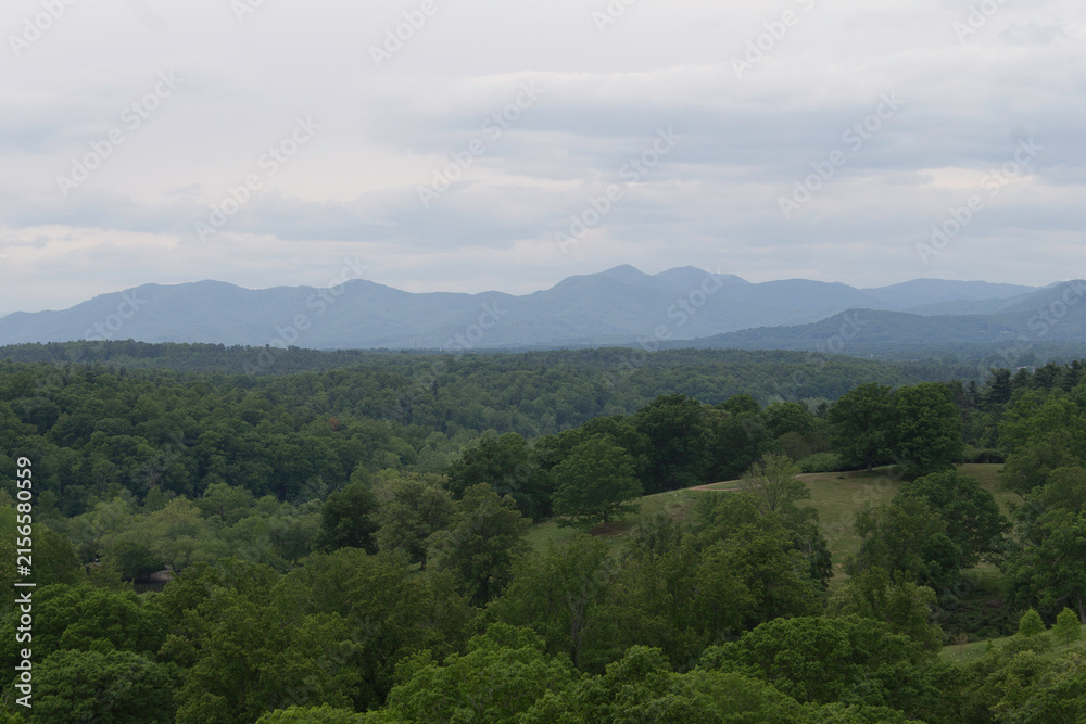 Obraz premium Biltmore View