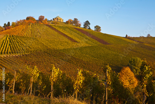Germany, Baden Wuerttemberg, Stuttgart, View of vineyards with burial chapel and sepulchral chapel