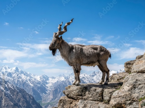 A majestic wild goat with large, spiral, twisted horns standing on a rocky mountain ledge against a background of snowy peaks and a bright blue sky.