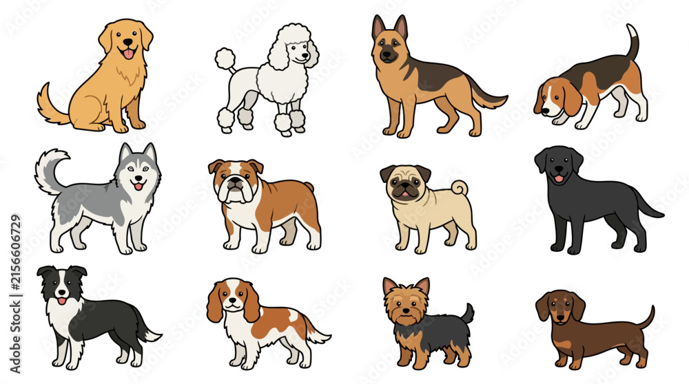 Obraz premium Cute Dog Breed Collection Vector Set Featuring Labrador, Golden Retriever, German Shepherd, Beagle, Poodle, Bulldog and Husky