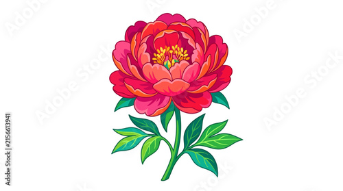 Vibrant pink peony flower illustration isolated on white background