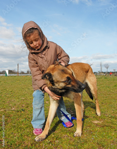 Foto young belgian shepherd and little girl