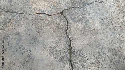Bild auf Leinwand Cracked concrete surface with visible weathering and minor vegetation growth eme