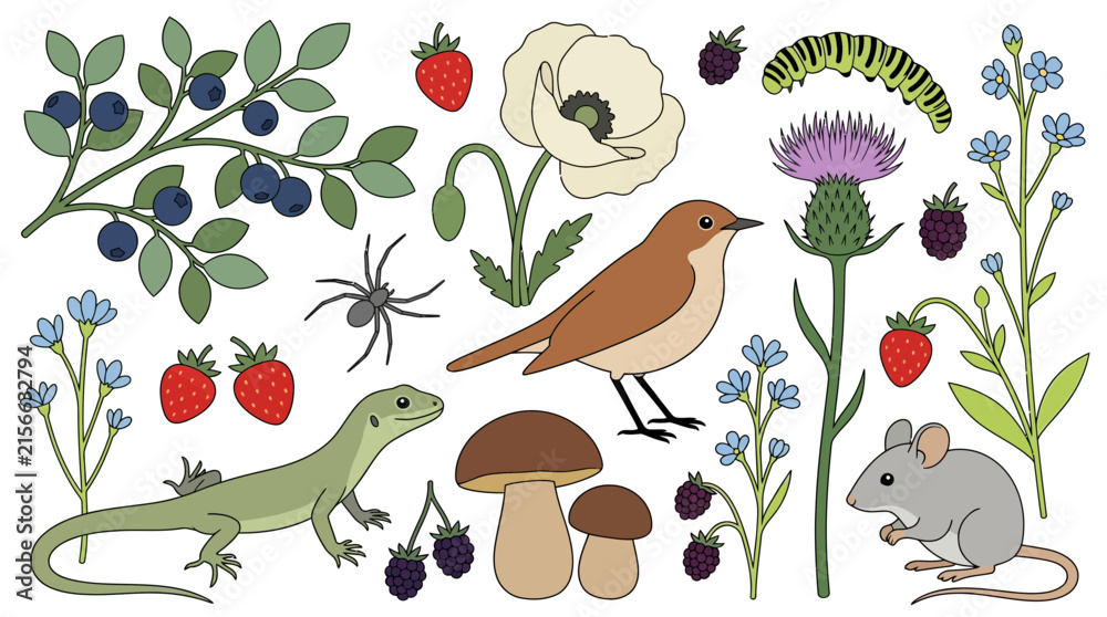 Obraz premium Hand-drawn Nature Illustration Set Featuring Garden Wildlife, Flowers, Berries, and Forest Animals Isolated on White Background