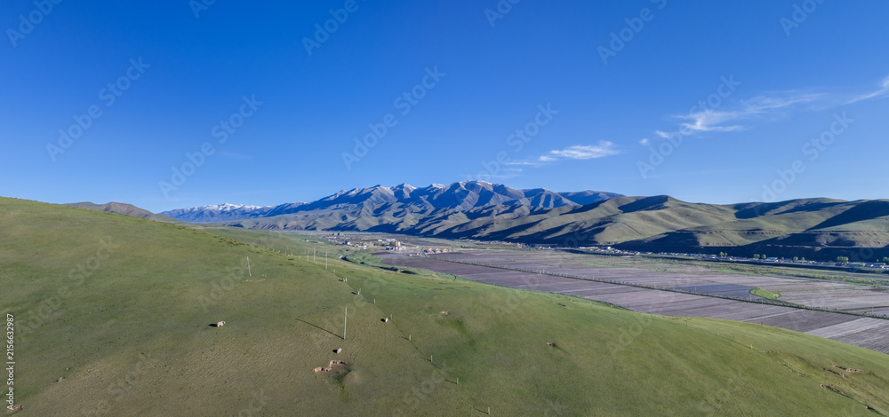 Naklejka premium Green Grassland Hills and Snow Peaks of Maya Snow Mountain, Tianzhu, Gansu