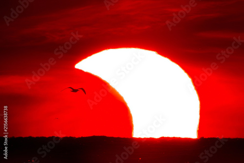 Solar eclipse 12th August 2026 on coast of Finnish Gulf.