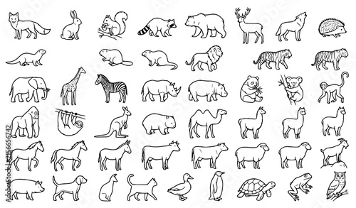 Photography Cute standing and walking animals, woodland wildlife, safari fauna, domestic pet