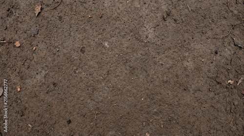 Ground soil texture presents a detailed surface view of dry earth with natural organic particles throughout the frame.