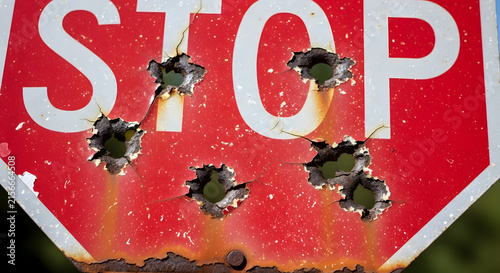 Bullet-ridden stop sign amidst overgrown green foliage, symbolizing danger or disregard for rules