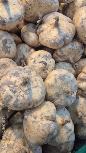Fotografie Fresh Jicama Root Vegetables Displayed in Market for Healthy Eating and Culinary