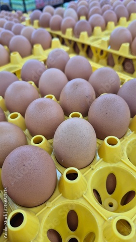 Fresh Brown Chicken Eggs Arranged Neatly in Yellow Cardboard Trays for Commercial Food Production