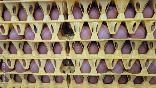 Stacked Brown Eggs in Yellow Cardboard Trays for Commercial Food Production and Wholesale Distribution