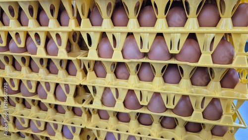 Stacked Brown Chicken Eggs in Yellow Plastic Trays for Commercial Food Production and Retail Display