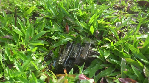 Lush green grass blowing in the wind around a stone drain
