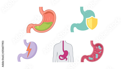 Foto Stomach Health and Digestive System Icon Set Featuring Gastric Protection, Pain,