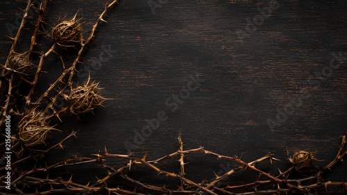 Dried Thorny Branches and Prickly Seed Pods on Dark Wooden Background