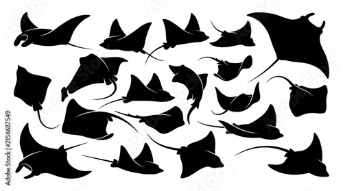 Foto Manta Ray and Stingray Silhouette Collection with Various Marine Wildlife Swimmi