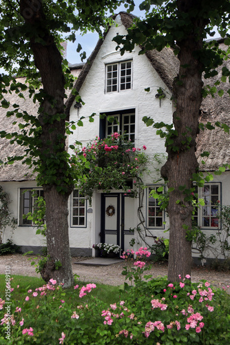 uthlandfriesisches haus mit rosen