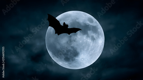 A bat silhouetted against a full moon, creating a mysterious and eerie atmosphere.