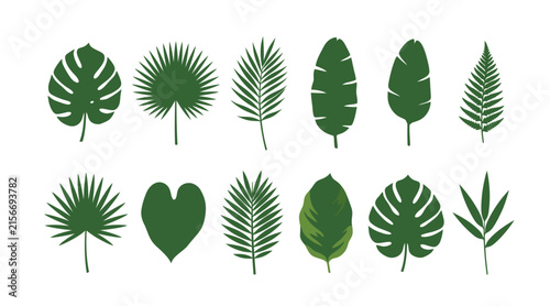 Set of various green tropical leaves silhouettes collection