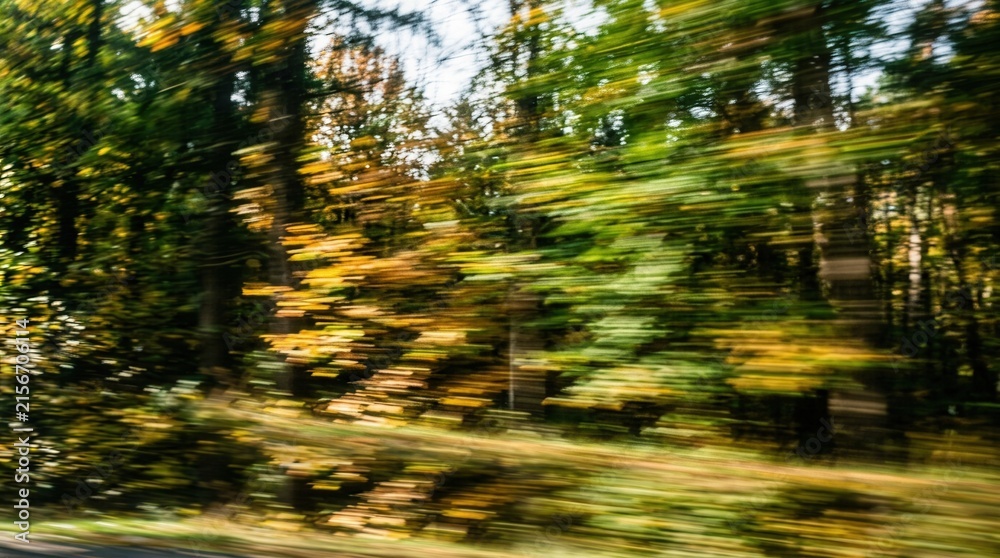 Fototapeta premium Blurry Autumn Forest Scenery From Moving Vehicle.