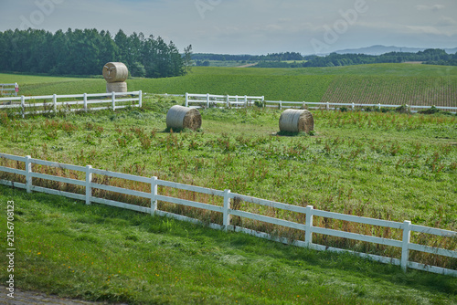 Hay Bales and Creative Straw Sculpture in Hokkaido Farmland, Japan