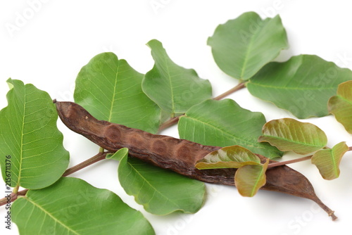 Ripe Carob Pod with Fresh Green Leaves Isolated on White Background