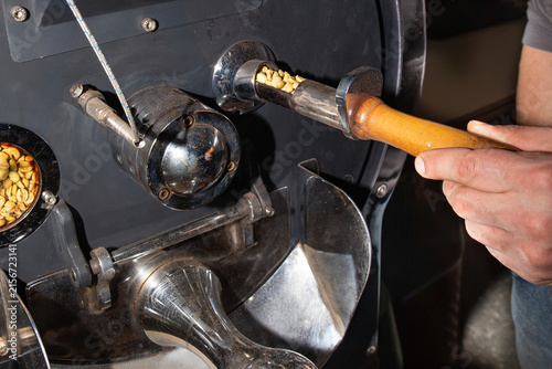 Quadro su tela Professional roaster hand holding tryer probe with coffee beans step by step during roasting process