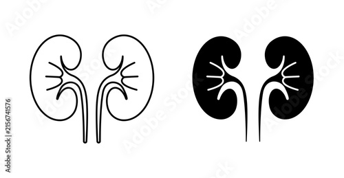 Kidney Organ Icon, Renal Health and Medical Anatomy Vector