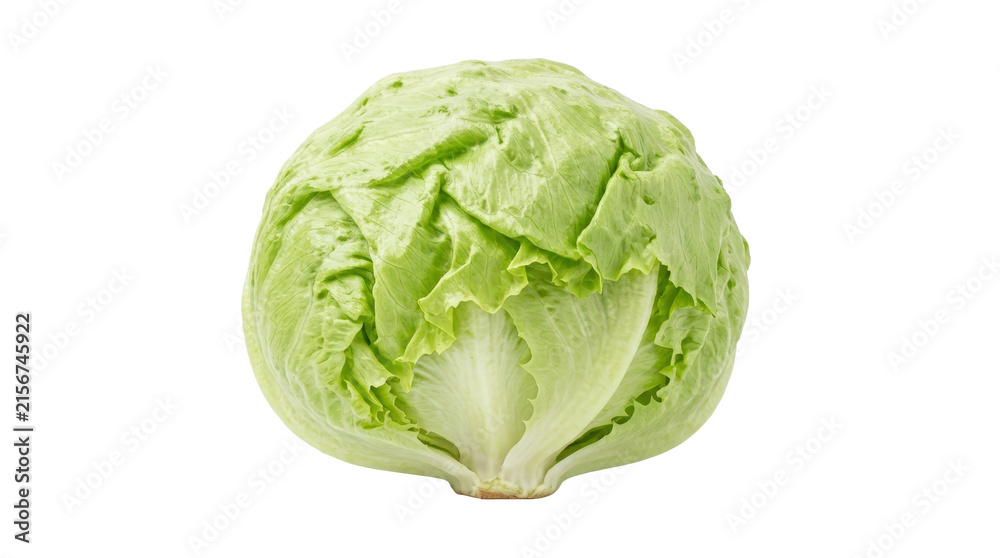 Obraz premium Fresh Green Iceberg Lettuce Head Isolated on White Background.