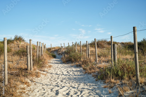 Sandwalk between protected dunes towards Ladeira Beach in Baiona