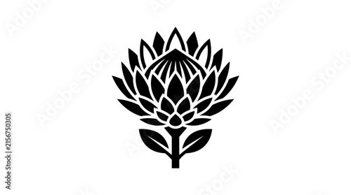 Protea flower blossom wild flora icon.