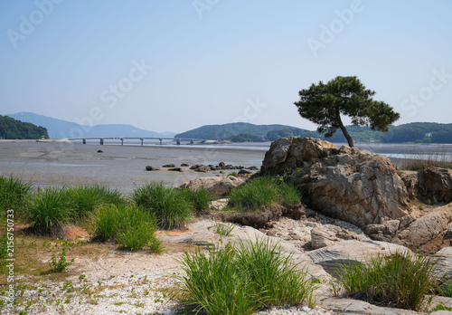 Fotografie 잡초,돌,갯바위,소나무,갯벌,연륙교,수기해변,해당화꽃길,시도,북도면,옹진군,인천