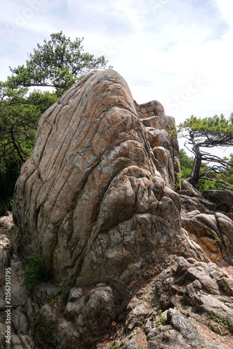 Photography 바위,관악산,팔봉능선,관악산,신림동,관악산,서울