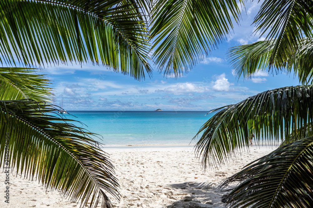Fototapeta premium 야자수,모래사장,앙스라지오해변,Anse Lazio Beach,프랄린섬,세이셸
