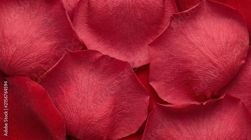 Rose petals fill the frame with rich red color, delicate natural textures, and romantic floral detail.