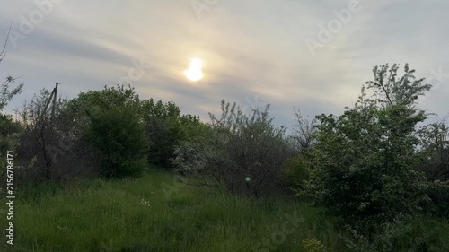 Cloudy sky above peaceful forest