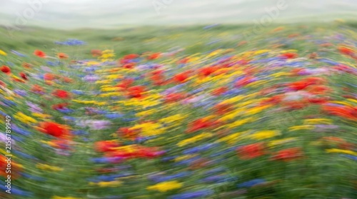 Abstract blurred colorful wildflower meadow in summer hills