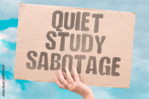 Obraz na płótnie "Quiet Study Sabotage" He vacuumed during my final exam zoom call