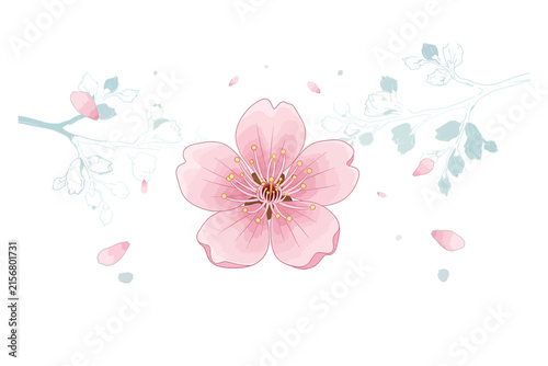 Pink Cherry Blossom Hand Drawn Vector Illustration