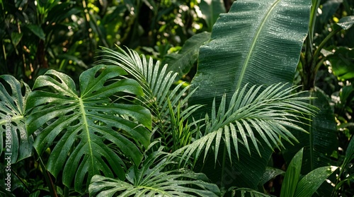 Tropical leaves.
