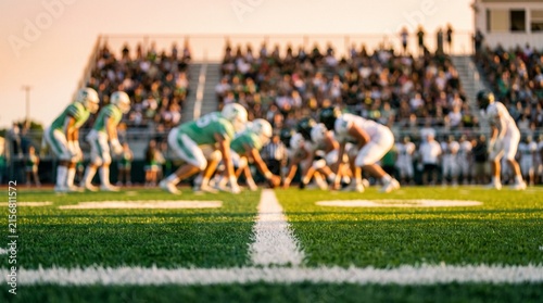 American football players line up for a dramatic scrimmage on a green turf field during a bright sunny afternoon game