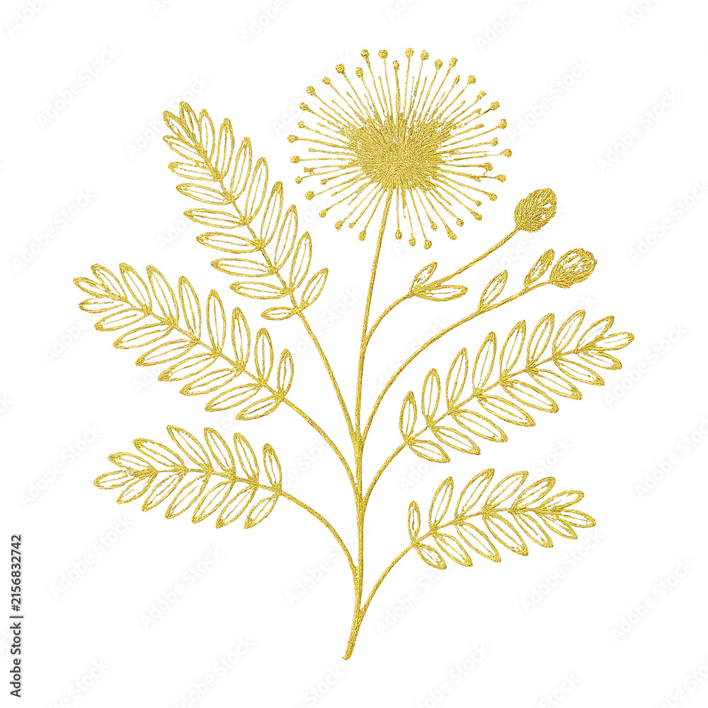 Fototapeta premium PNG Elegant golden botanical illustration