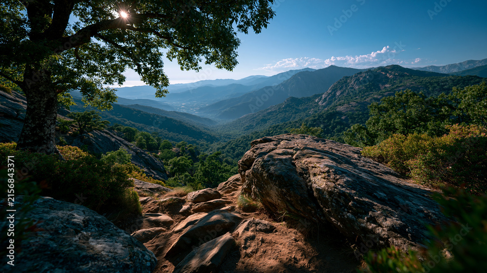 Obraz premium Sunny mountain valley vista with oak tree silhouette and rocky foreground blue sky mountain