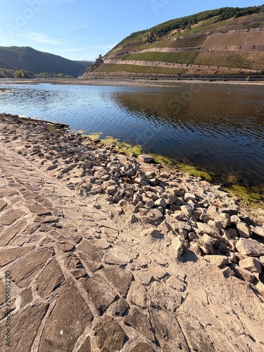 Niedrigwasser im Rhein. Blick auf die Burg Ehrenfels.