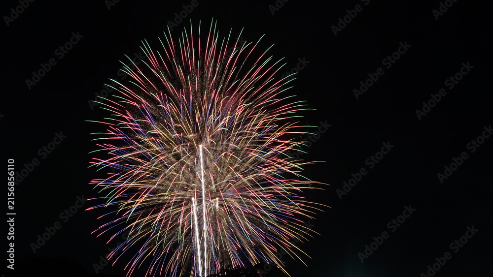 Fototapeta premium Vibrant Colorful Fireworks Displaying over the Night Sky during Japanese Summer Hanabi Festival