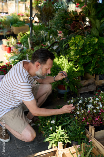 Photography Man Examining Plants at Outdoor Nursery Market While Shopping for Flowers and Ga