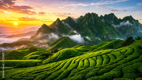 Majestic mountain peaks rising above cloud valley illuminated by vibrant sunrise light