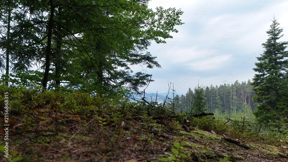 Fototapeta premium Landschaft der Buckligen Welt