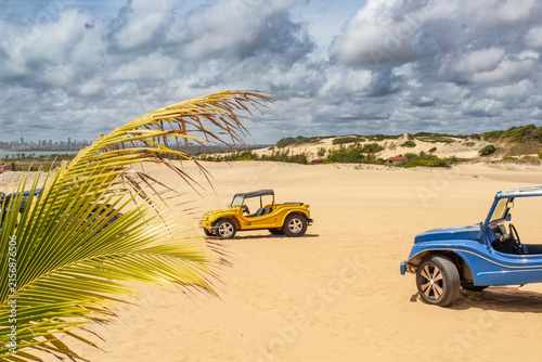 Canvastavla Dune buggies and palm frond among the sand dunes of Genipabu Brazil
